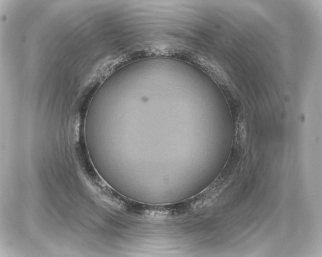 X0000087530694200705112032