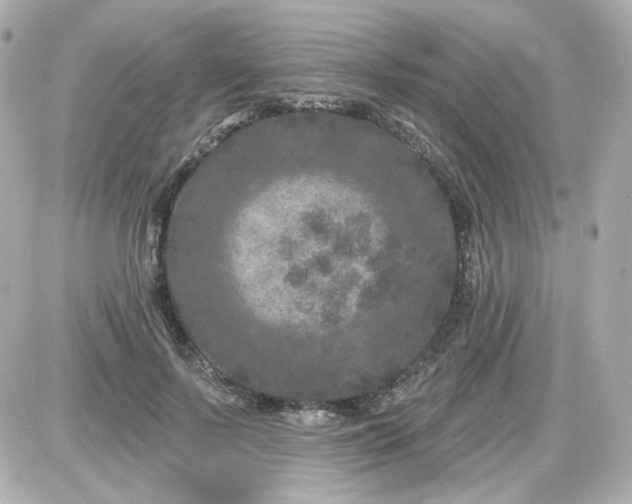 X0000087530695200705112032