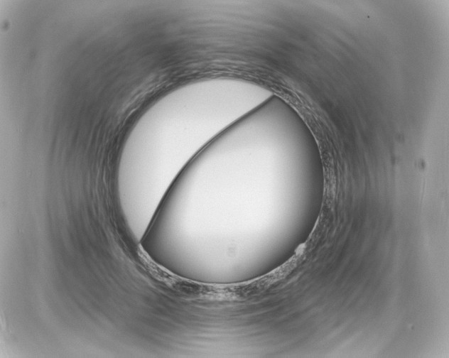 X0000087530696200705112032