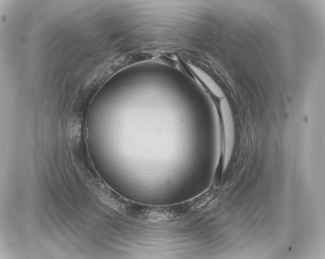 X0000087530697200705112032