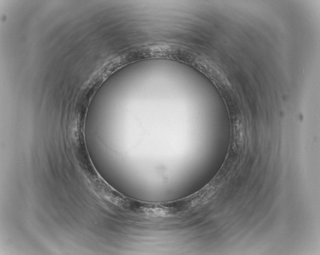 X0000087530698200705112031