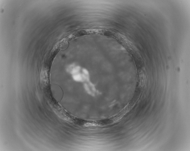 X0000087530699200705112031