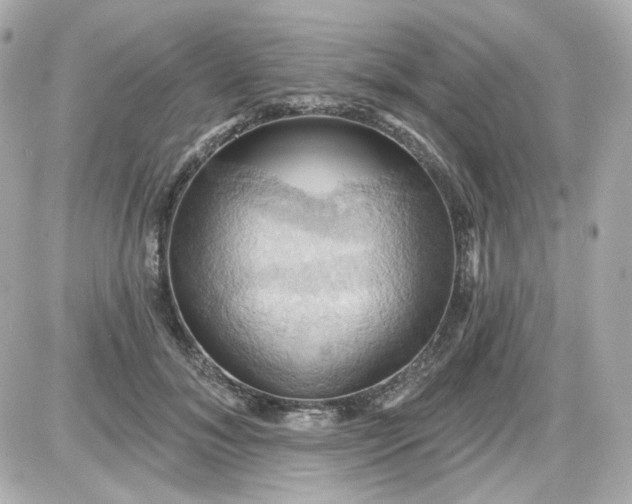 X0000087530700200705112031