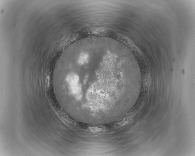 X0000087530703200705112031