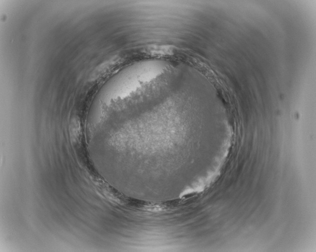 X0000087530704200705112031