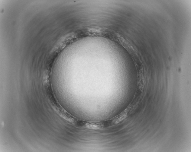 X0000087530706200705112031