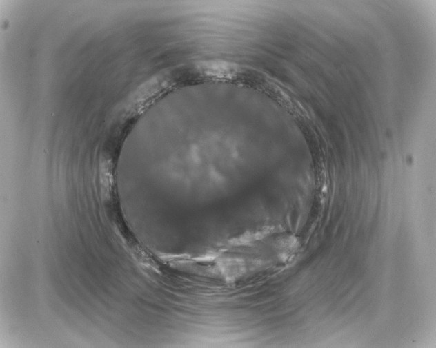 X0000087530707200705112031