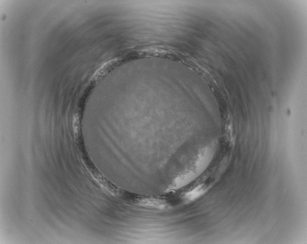 X0000087530708200705112031