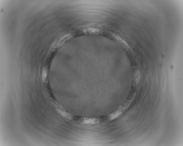 X0000087530709200705112031