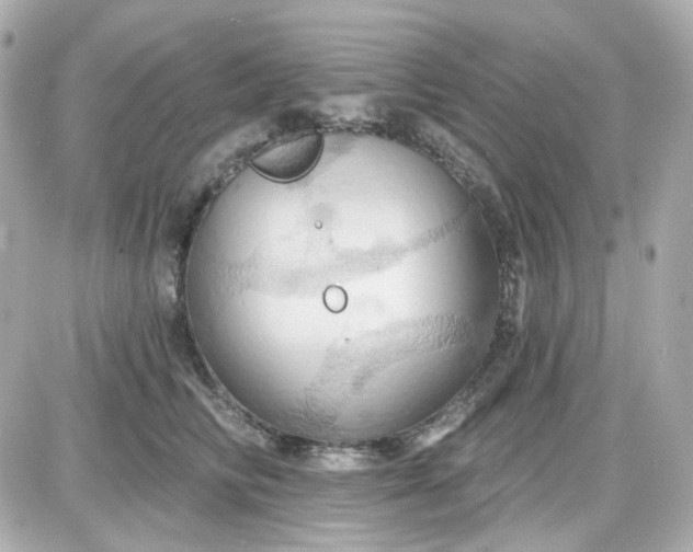 X0000087530710200705112031