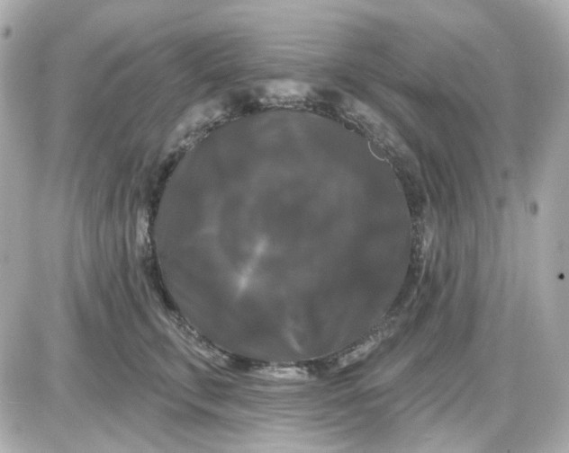 X0000087530711200705112031