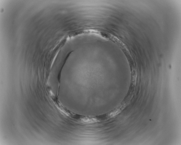 X0000087530712200705112031