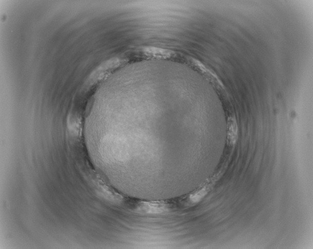 X0000087530713200705112031