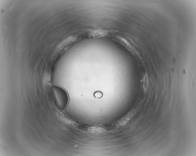 X0000087530714200705112031