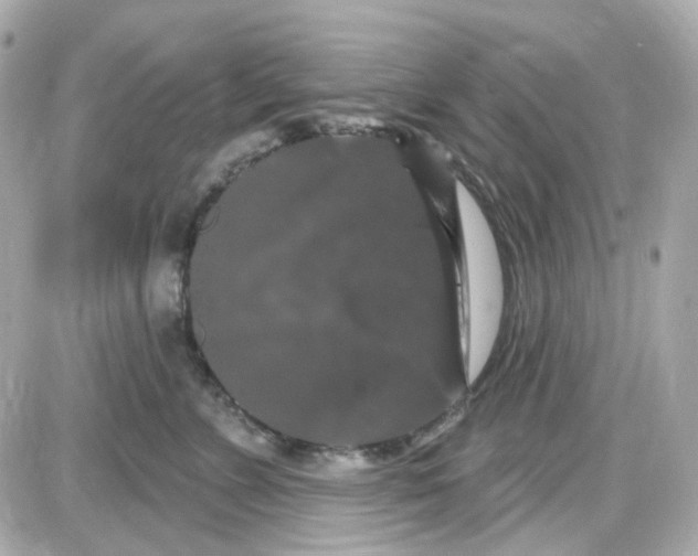 X0000087530715200705112031