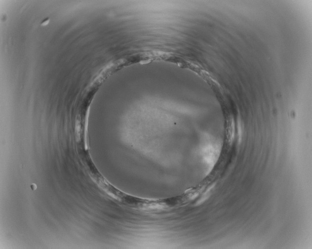 X0000087530716200705112031