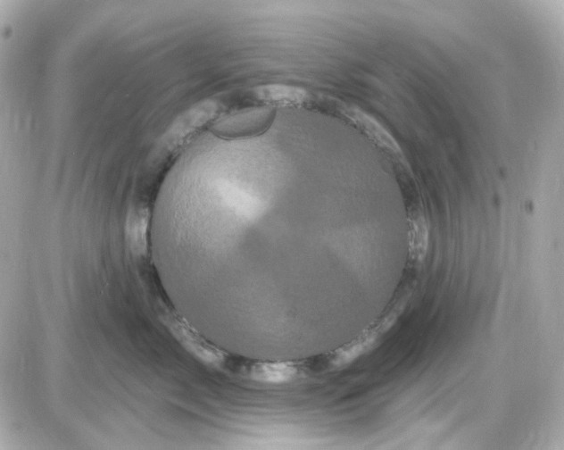 X0000087530717200705112031