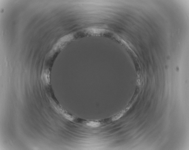 X0000087530718200705112031