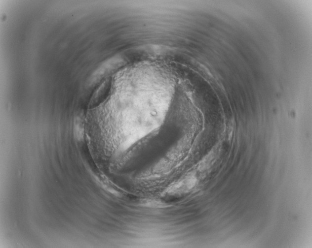 X0000087530719200705112031