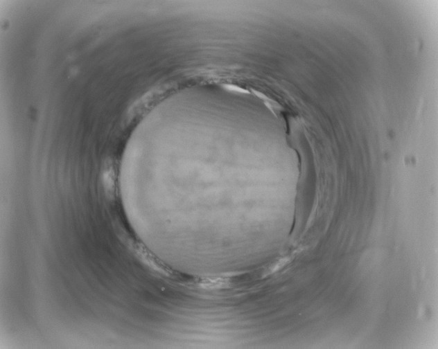 X0000087530720200705112031