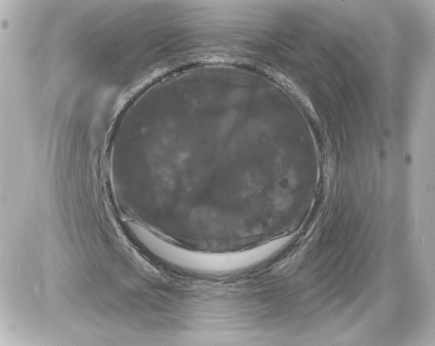 X0000087530721200705112030