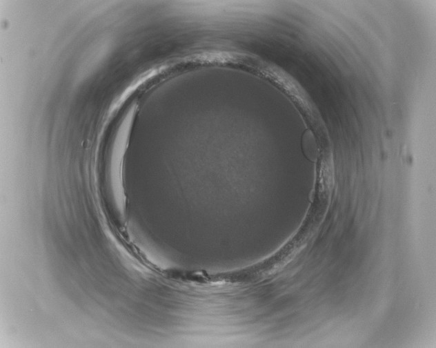 X0000087530722200705112030