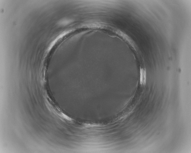 X0000087530723200705112030