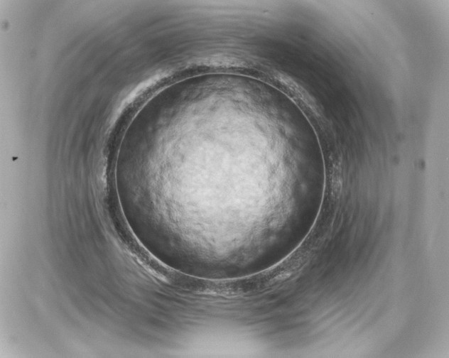 X0000087530727200705112030