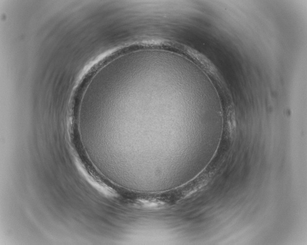 X0000087530728200705112030