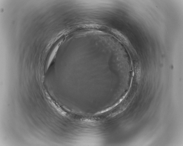 X0000087530729200705112030