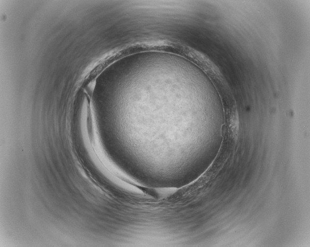 X0000087530732200705112031