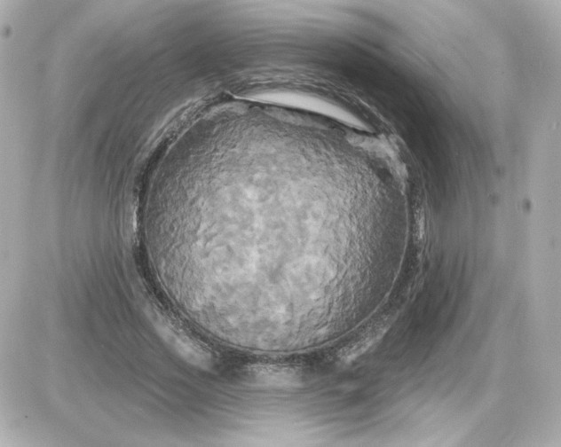 X0000087530733200705112031