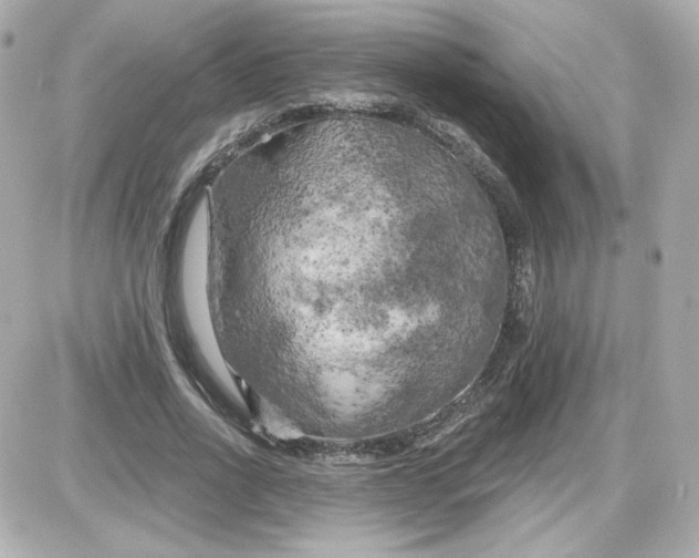 X0000087530734200705112031