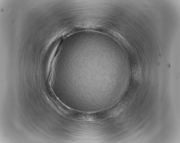 X0000087530735200705112031