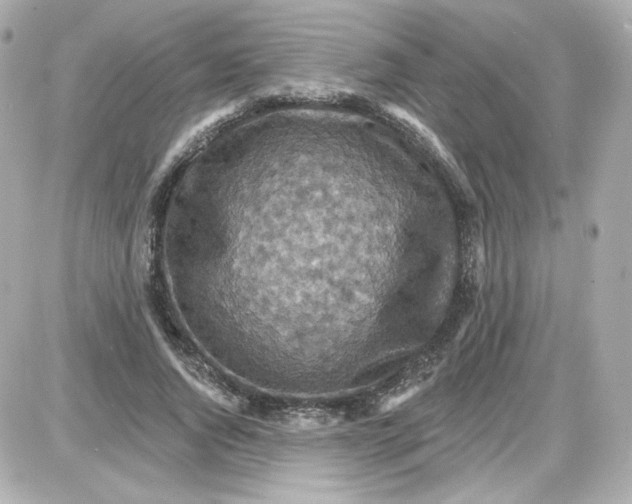 X0000087530736200705112031