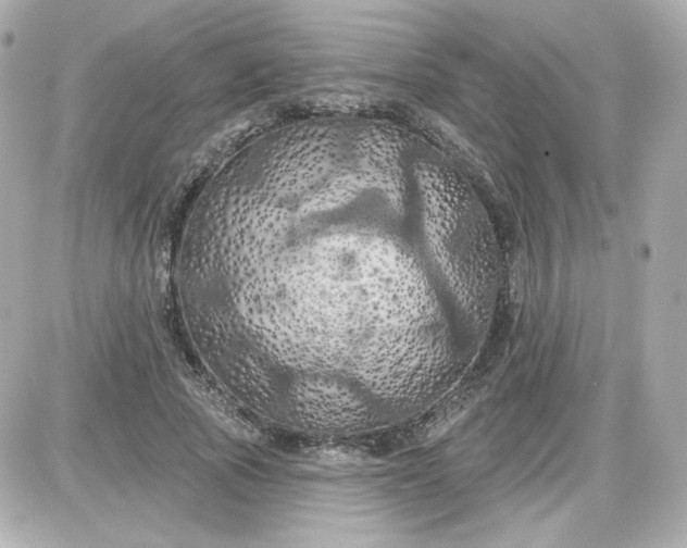 X0000087530737200705112031