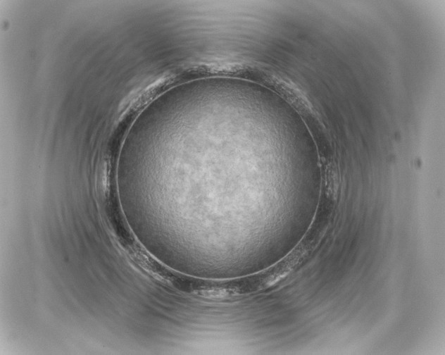 X0000087530740200705112031