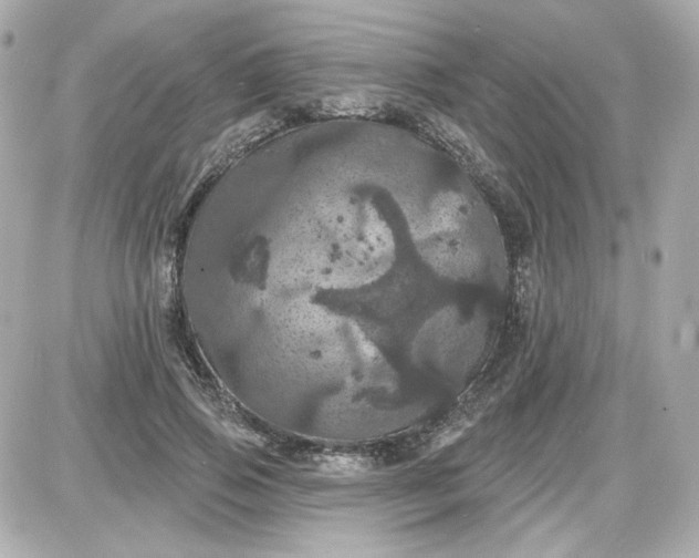 X0000087530741200705112031