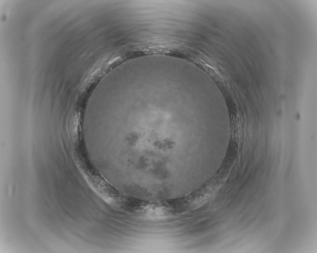 X0000087530742200705112031