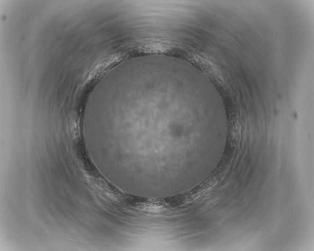 X0000087530743200705112031