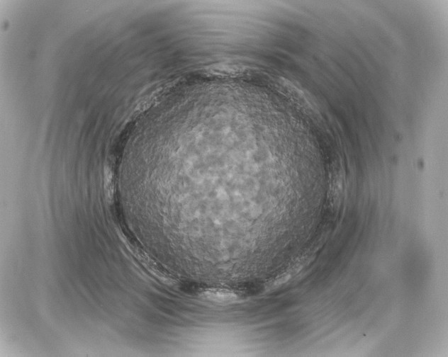 X0000087530749200705112031