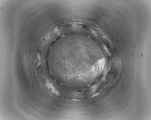 X0000087530750200705112031