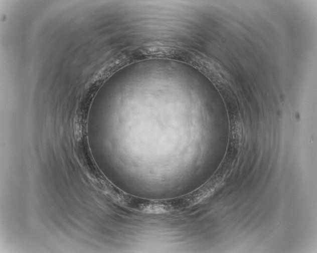 X0000087530751200705112031