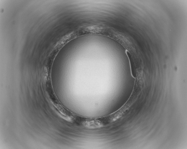 X0000087530752200705112031