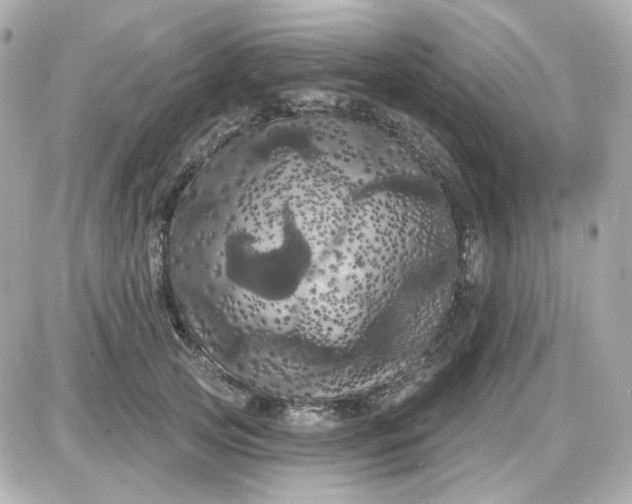 X0000087530753200705112031