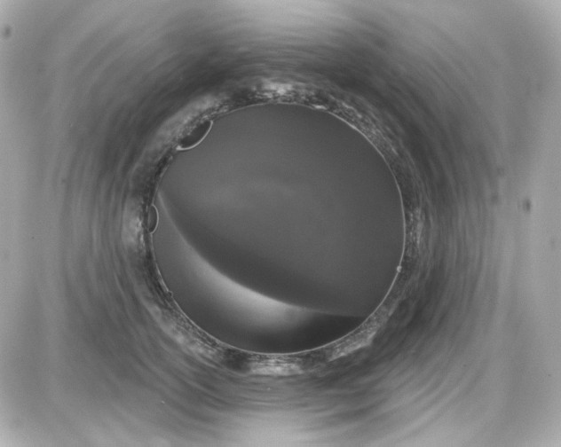 X0000087530754200705112031