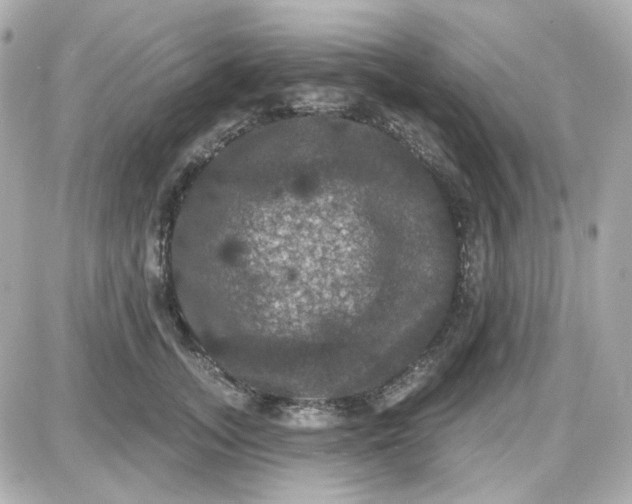 X0000087530755200705112031