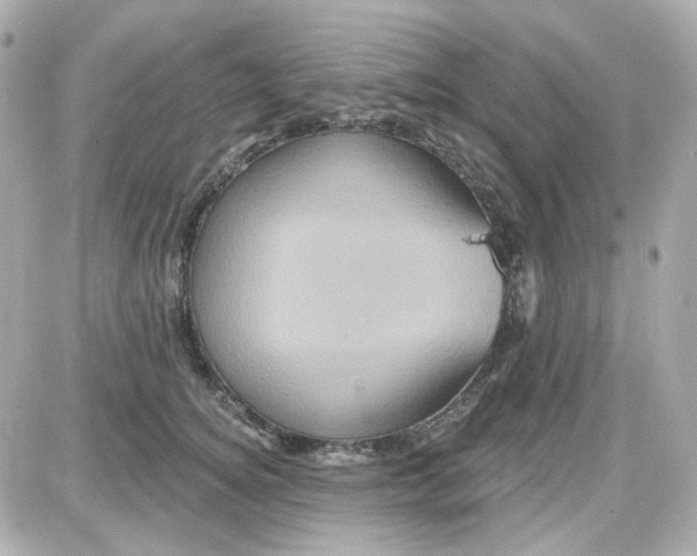 X0000087530756200705112031