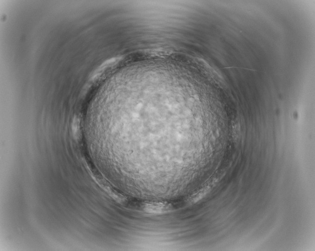 X0000087530757200705112031