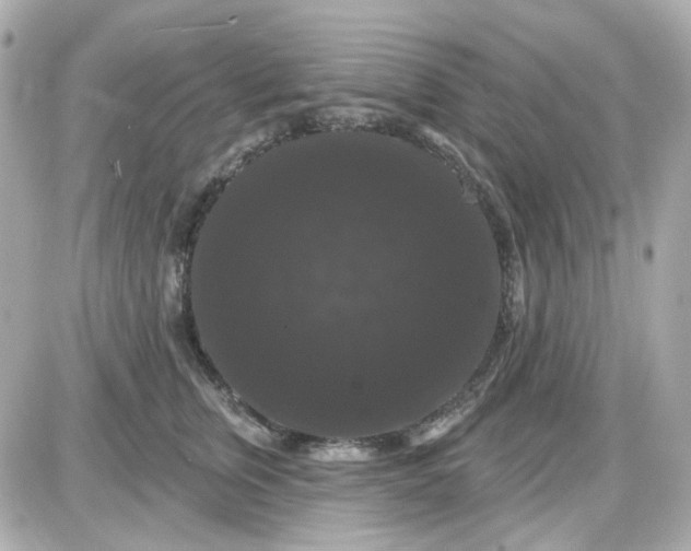 X0000087530759200705112031